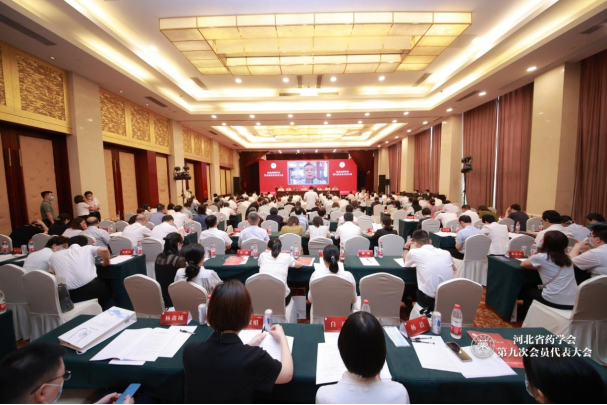 河北省药学会第九次会员代表大会召开！丁锦霞当选新一届理事长