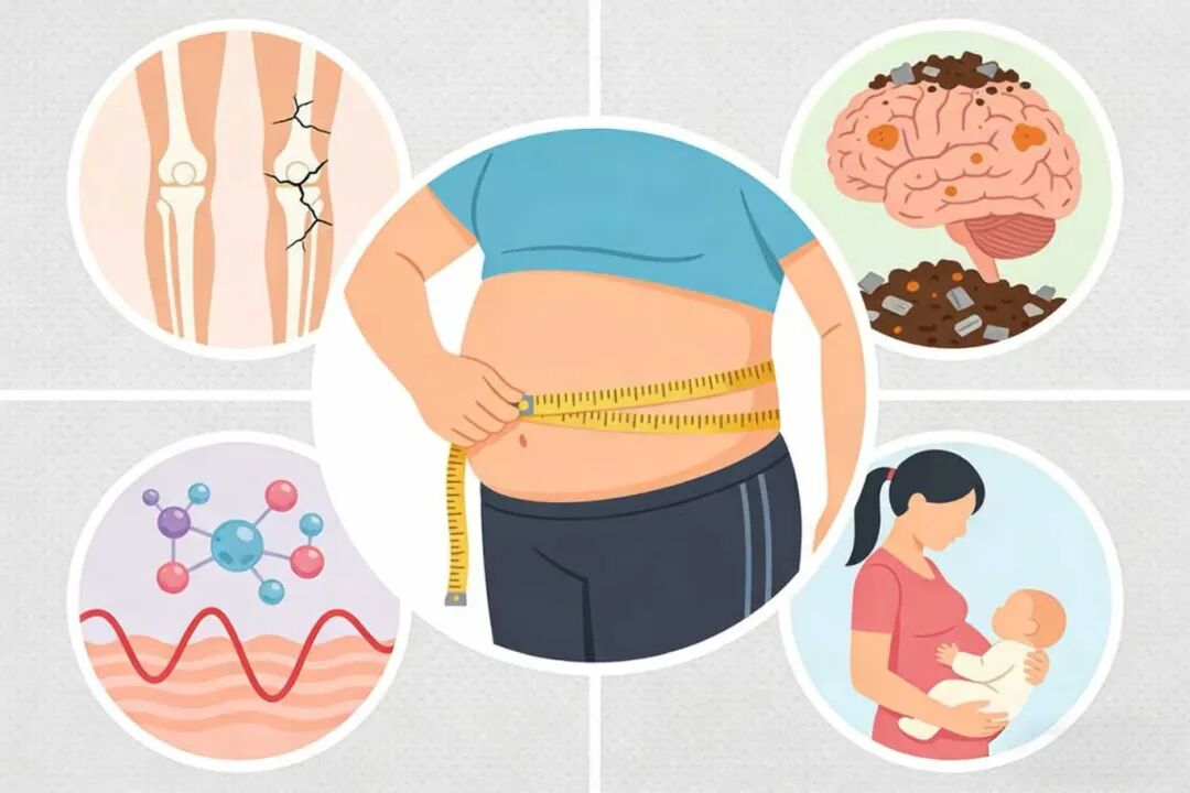 Ϊʲô���ܷ��ֻ����������ã�ԭ����ȱ������ά���أ�