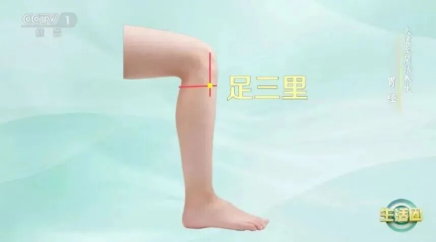 оԼ䰫ˣֲ